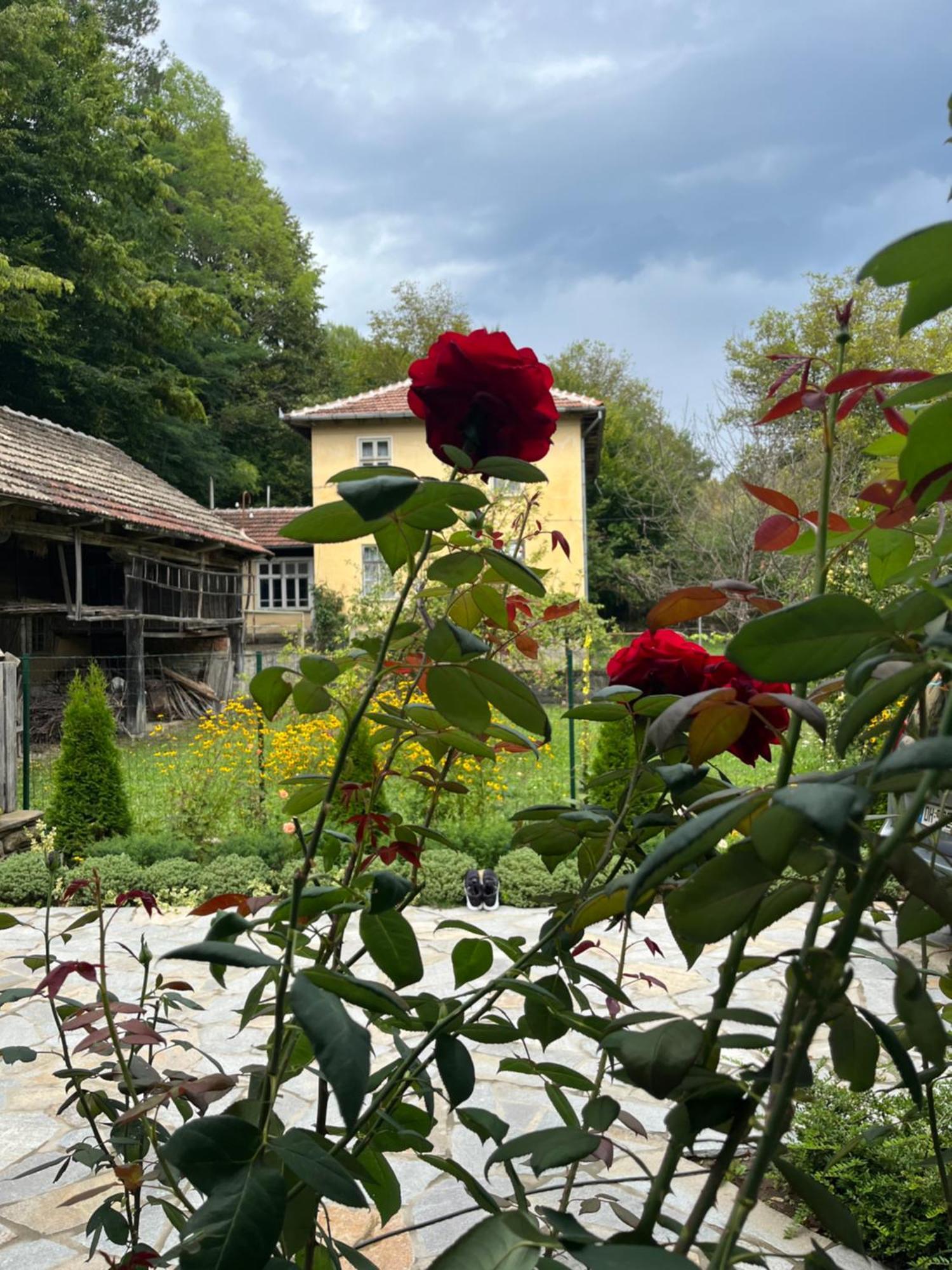 Verta House Tryavna Dış mekan fotoğraf